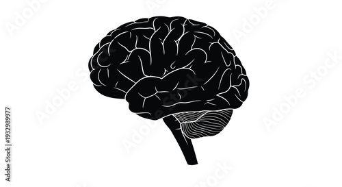 A stark black depiction of a human brain showcasing intricate convolutions and neurological structures as a silhouette high quality