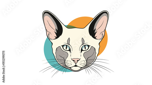 Portrait of a Siamese cat with blue eyes and large ears set against a colorful abstract background of geometric circles.