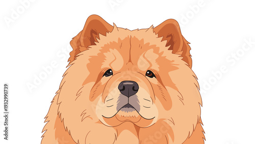 Detailed portrait of a fluffy chow chow dog showing its characteristic thick fur and calm expression in vector art.