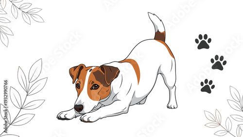 Jack Russell terrier dog in a playful bowing position with its tail up on a white background with leaf designs.