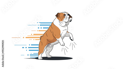 English bulldog jumping or standing on hind legs with speed lines in the background representing motion and energy on a clean white space.