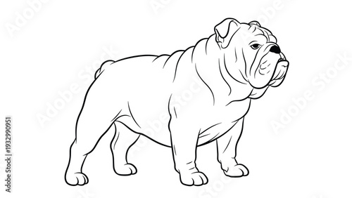 Bold line art illustration of an english bulldog standing in profile showing its muscular frame and wrinkled face on a white background space.