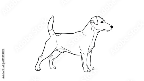 Clean black and white line art illustration of a jack russell terrier standing in profile on a white background suitable for coloring.