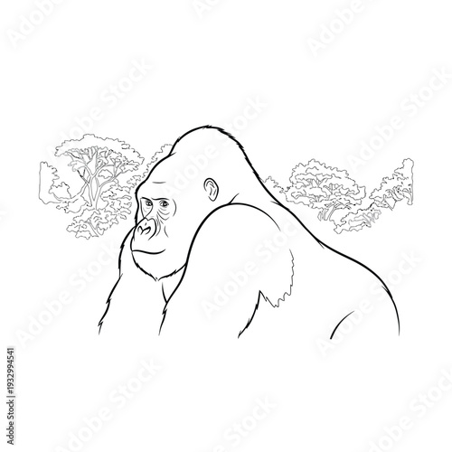 Drawing of gorilla showing wildlife in a natural forest environment