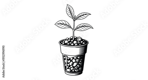 A detailed illustration showcases a young plant growing in a pot utilizing stark black and white contrast silhouette