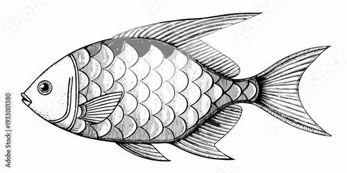 Detailed illustration of a silver fish with textured scales and fins