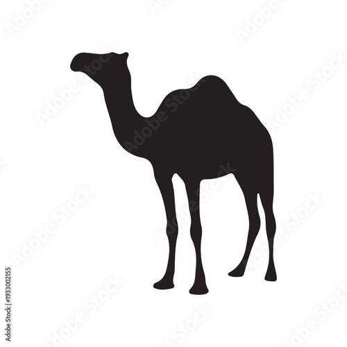 Camel Silhouette Vector Illustration Desert Animal Design.