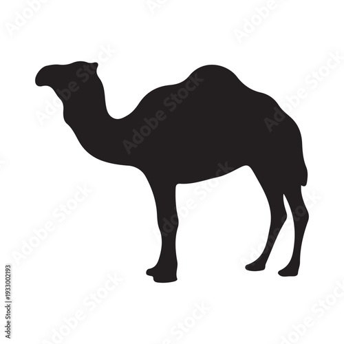 Camel Silhouette Vector Illustration Desert Animal Design.
