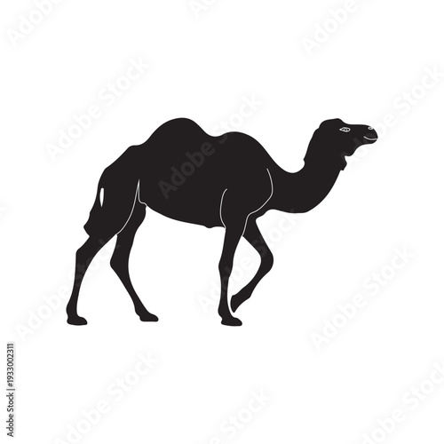 Camel Silhouette Vector Illustration Desert Animal Design.