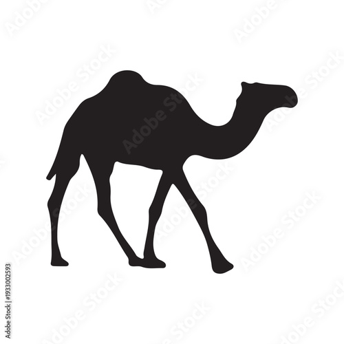 Camel Silhouette Vector Illustration Desert Animal Design.