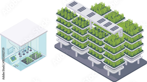 Isometric indoor vertical farm with hydroponic growing racks and laboratory unit, modern sustainable agriculture vector illustration