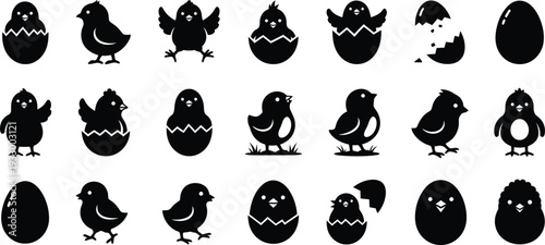 Black silhouettes of chicks and eggs in various stages of hatching