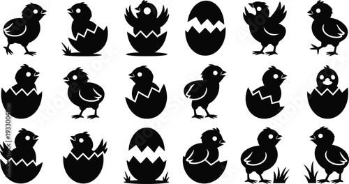 Black silhouettes of chicks hatching from eggs in various positions