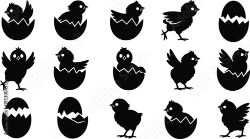 Black silhouettes of chicks hatching from eggs in various stages