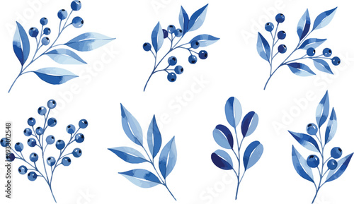 Blue leaves and berries illustrations on white background