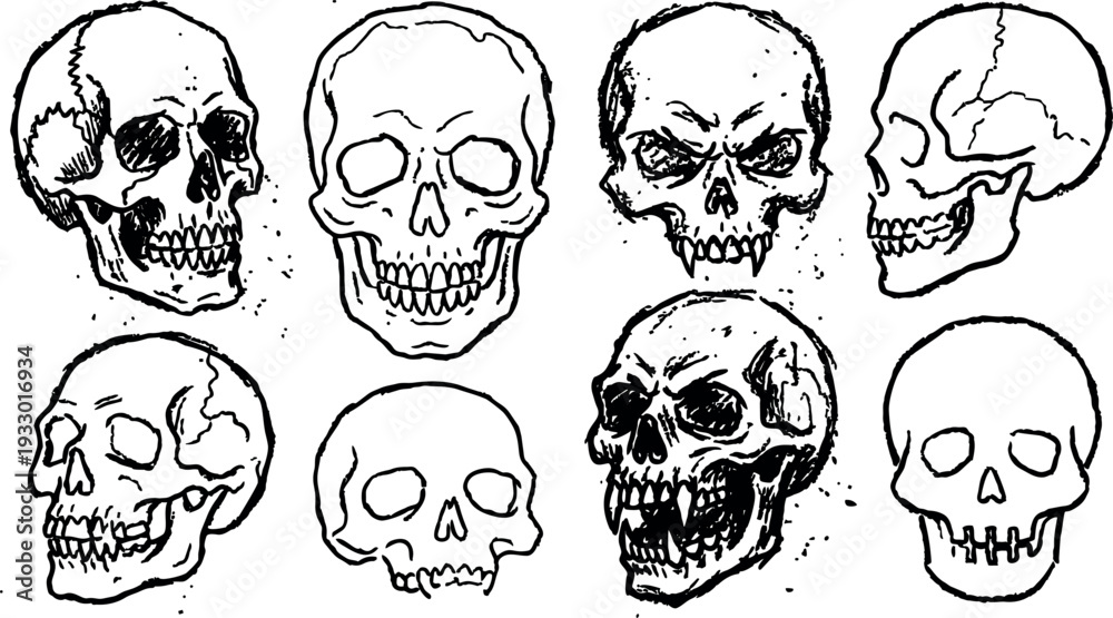 Fototapeta premium Tattoo flash skull set eight hand drawn skull faces various angles snarling profile three quarter front flat line art aggressive
