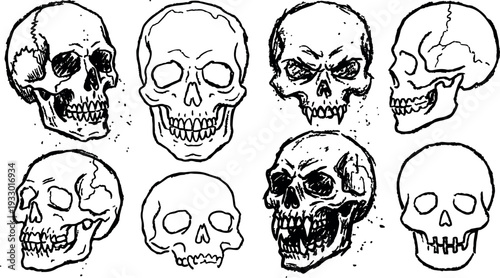 Tattoo flash skull set eight hand drawn skull faces various angles snarling profile three quarter front flat line art aggressive
