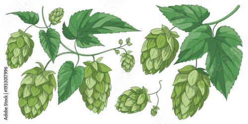 A close-up view of various green leaves with different shapes and textures. Vector