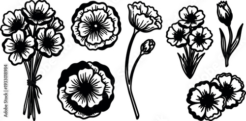 Line art botanical poppy flower elements bundle close up stems buds and blossoms isolated vector floral clipart set black white