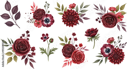 Collection of red flowers and leaves on white background