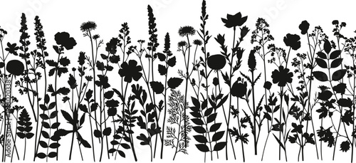 Black and white illustration of a field of wildflowers and grasses on a plain background