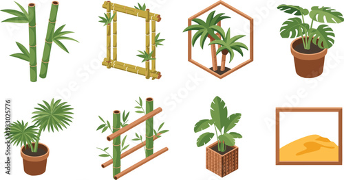 Isometric tropical plant set with bamboo frames, potted palm and monstera leaves, modern botanical interior elements vector illustration collection