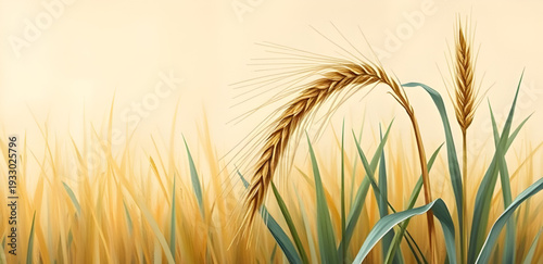 wheat, ears, grain, cereal, harvest, agriculture, farm, farming, field, rural, countryside, nature, crop, plant, golden, yellow, oilpainting, artwork, art, canvas, texture, brushstroke, fineart, class