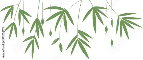 Minimalist hanging bamboo leaves with small green fruits, elegant botanical background, natural Asian inspired vector illustration design