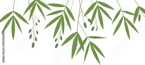 Minimalist hanging bamboo branches with green leaves and fruits, elegant botanical background, natural tropical vector illustration design