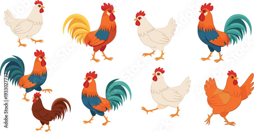 Rooster and chicken farm birds collection domestic poultry vector illustration set