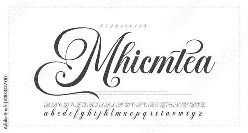 Script Brush Font Type Font lettering handwritten. vector illustration