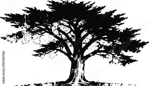 Large oak tree silhouette with spreading branches and dense foliage on white background