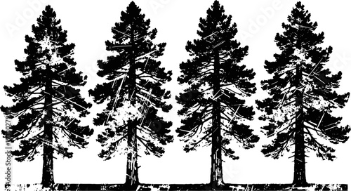 silhouettes of tall pine trees with detailed branches and needles on white background