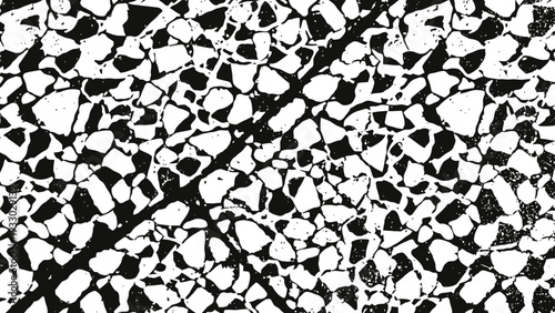 Black and white abstract cracked pattern with irregular shapes and bold diagonal line design