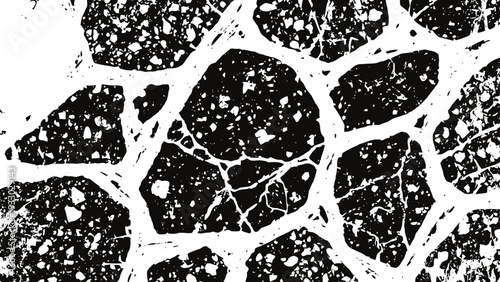 Black and white stone texture rough gravel pattern with cracks and contrast shapes natural rock surface background