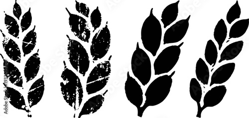 black wheat ear silhouettes set agriculture grain symbols, plant crop icons design collection