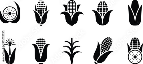 Black and white corn icons set, minimalist maize vector silhouettes featuring cob husk grain agriculture symbol collection