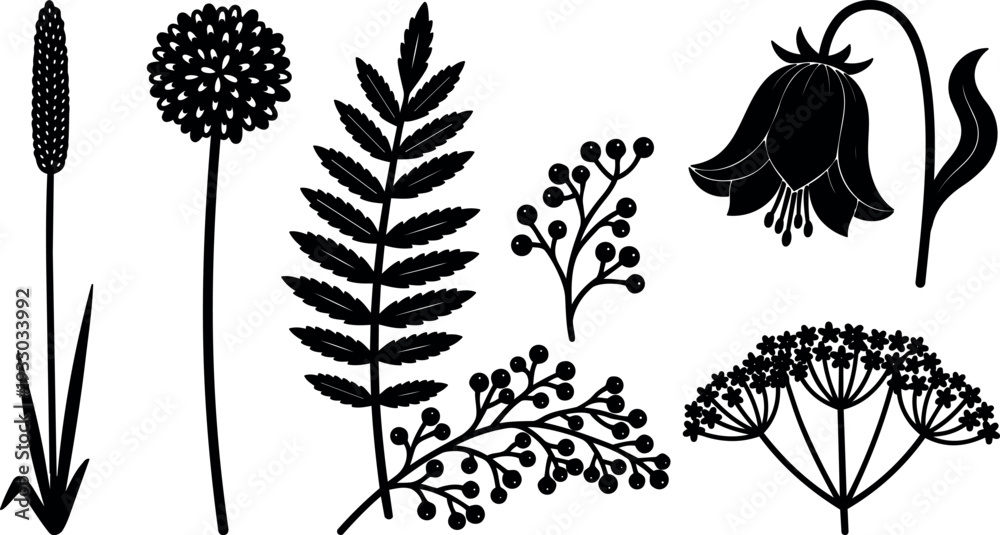 Fototapeta premium Flat design botanical silhouettes set of wildflowers fern berries bellflower seed head stems isolated black vector minimalist clipart collection art