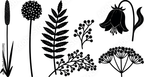 Flat design botanical silhouettes set of wildflowers fern berries bellflower seed head stems isolated black vector minimalist clipart collection art