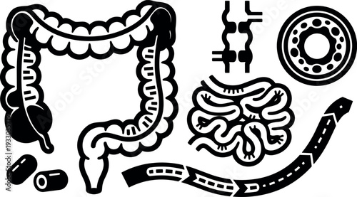Medical vector icon set showing colon and small intestine organs pills stent endoscope view in bold line art schematic diagram