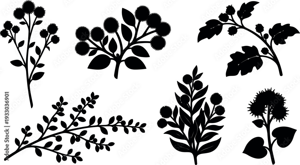 Fototapeta premium Flat silhouette botanical branch collection showing six burr seed head shapes on white background close up isolated minimal vector art