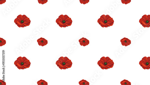 Poppies Isolated Hand Drawn Pattern Red White Flowers Leaves Love Heart Romantic Girly Textile Seamless No Background Transparent Floral Design Graphic repeated editable