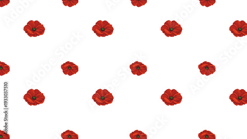 Poppies Isolated Hand Drawn Pattern Red White Flowers Leaves Love Heart Romantic Girly Textile Seamless No Background Transparent Floral Design Graphic repeated editable