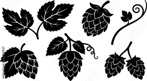 Vector hop cone and vine silhouettes close up set of brewery hop leaves and cones minimalist flat black isolated studio