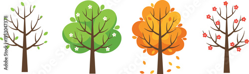 Set of four trees representing spring summer autumn and winter seasons with green leaves orange foliage spring flowers and bare branches for nature design