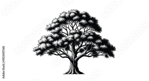 An intricately detailed black and white illustration of a large mature tree with expansive foliage presented as a silhouette high quality