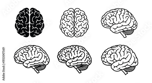 Illustrative depiction of human brains in varying styles and perspectives