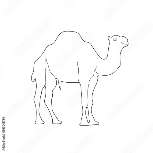 Camel Silhouette Line Art Vector Illustration Design.