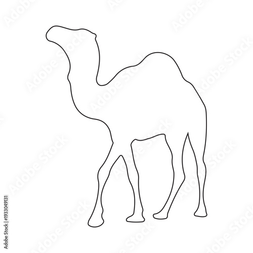 Camel Silhouette Line Art Vector Illustration Design.