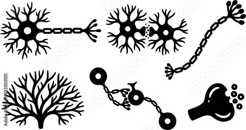 Flat design neural network icons set showing neurons synapses axons dendrites connections close up scientific silhouette isolated bold black vector